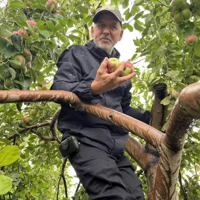Un homme dans un pommier